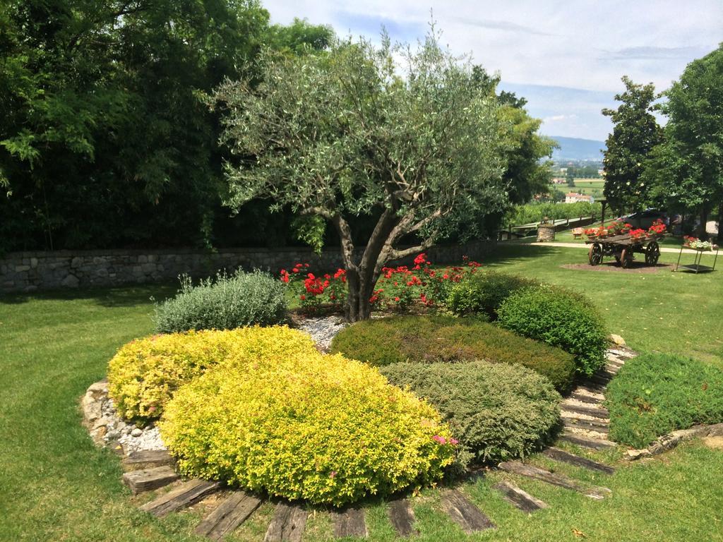 Agriturismo Al Colle Del Ciliegio Villa Rovolon Dış mekan fotoğraf