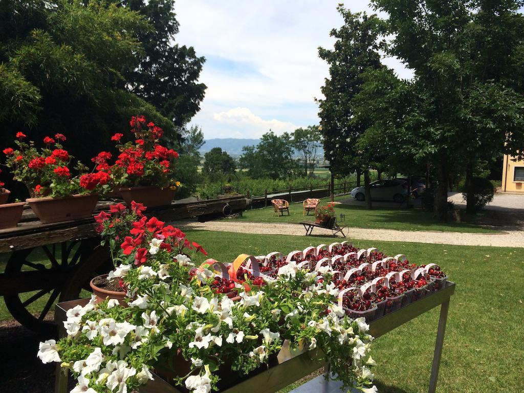 Agriturismo Al Colle Del Ciliegio Villa Rovolon Dış mekan fotoğraf