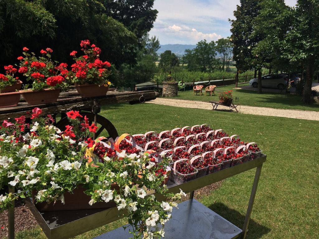 Agriturismo Al Colle Del Ciliegio Villa Rovolon Dış mekan fotoğraf